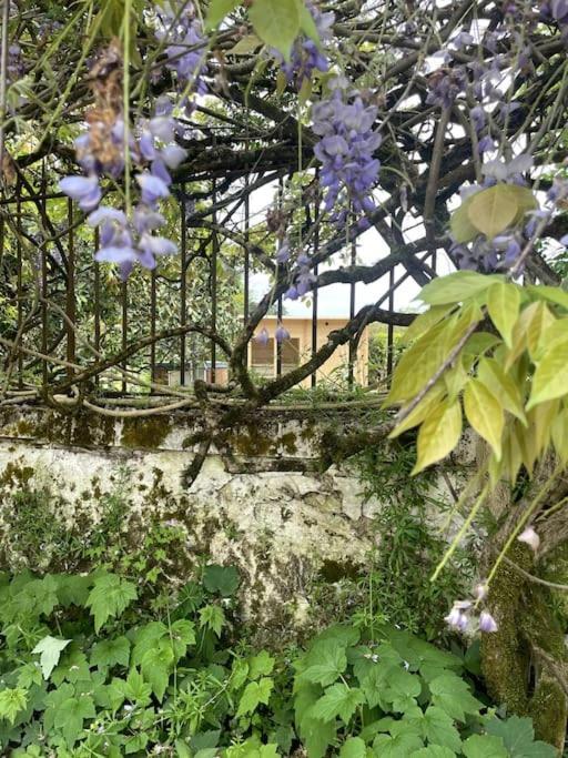 Gite Lilas Ideal Pour 4 Pers Capian Exterior photo